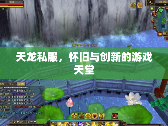 天龙私服，怀旧与创新的游戏天堂