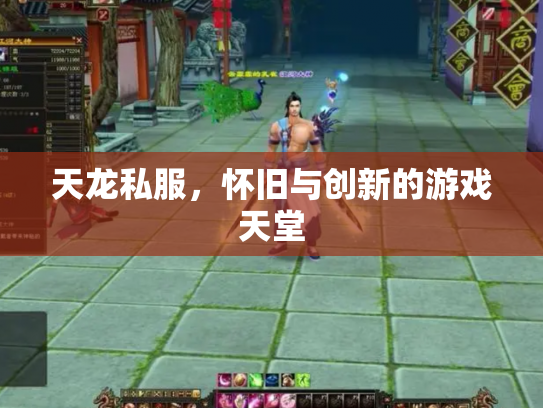 天龙私服，怀旧与创新的游戏天堂