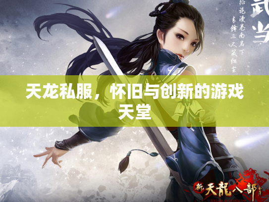 天龙私服，怀旧与创新的游戏天堂