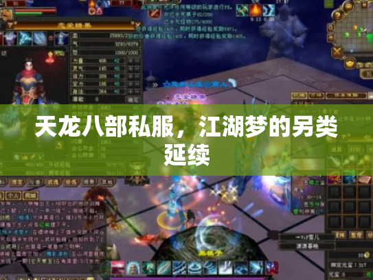 天龙八部私服，江湖梦的另类延续