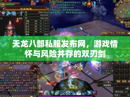 天龙八部私服发布网，游戏情怀与风险并存的双刃剑