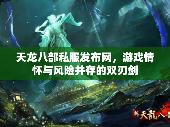 天龙八部私服发布网，游戏情怀与风险并存的双刃剑