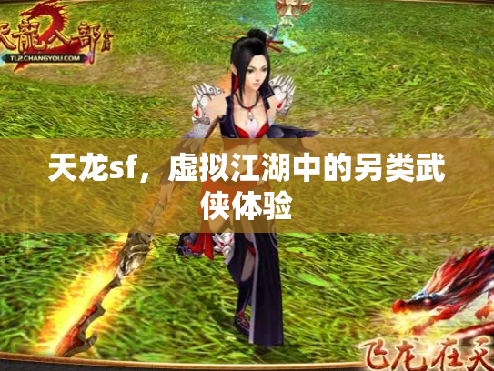 天龙sf，虚拟江湖中的另类武侠体验