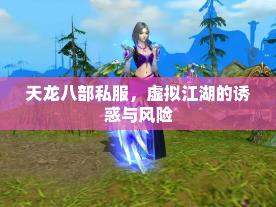 天龙八部私服，虚拟江湖的诱惑与风险
