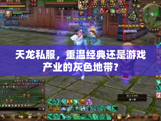天龙私服，重温经典还是游戏产业的灰色地带？