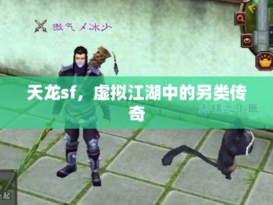 天龙sf，虚拟江湖中的另类传奇