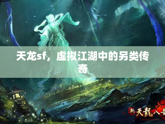 天龙sf，虚拟江湖中的另类传奇