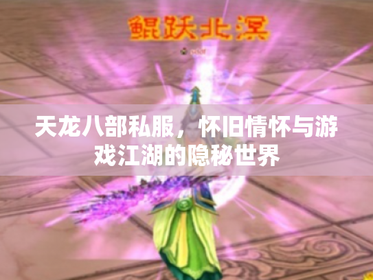 天龙八部私服，怀旧情怀与游戏江湖的隐秘世界
