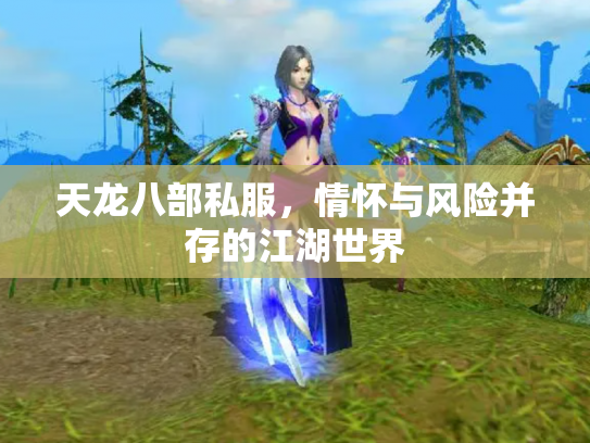 天龙八部私服，情怀与风险并存的江湖世界