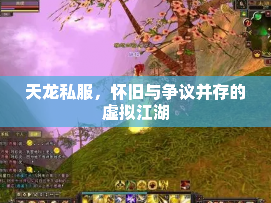天龙私服，怀旧与争议并存的虚拟江湖