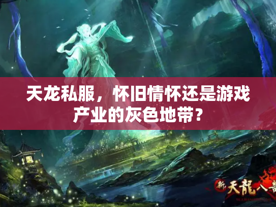 天龙私服，怀旧情怀还是游戏产业的灰色地带？