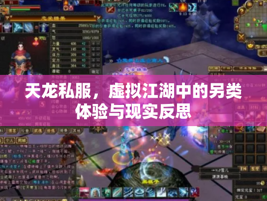 天龙私服，虚拟江湖中的另类体验与现实反思
