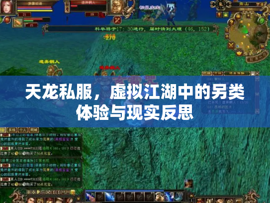 天龙私服，虚拟江湖中的另类体验与现实反思