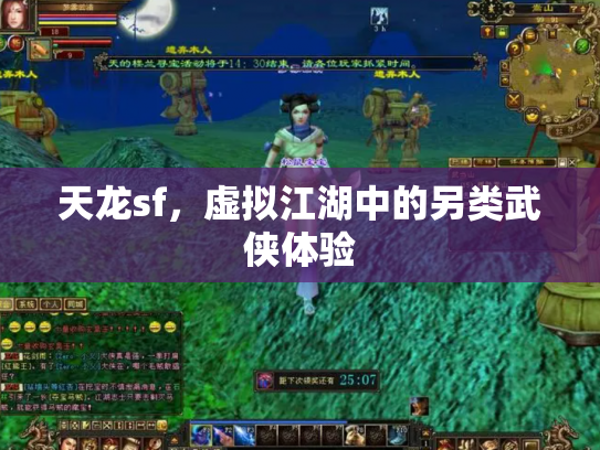 天龙sf，虚拟江湖中的另类武侠体验