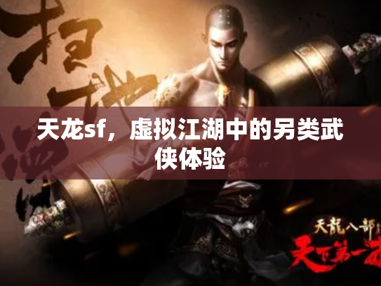 天龙sf，虚拟江湖中的另类武侠体验