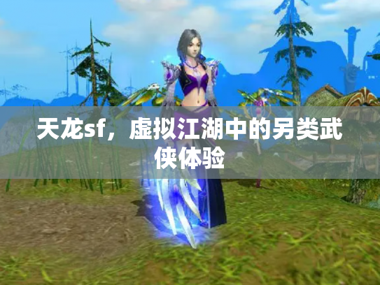 天龙sf，虚拟江湖中的另类武侠体验