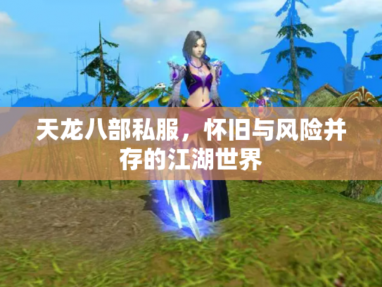 天龙八部私服，怀旧与风险并存的江湖世界
