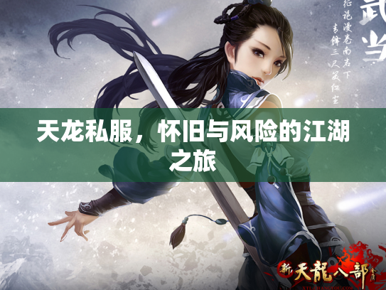 天龙私服，怀旧与风险的江湖之旅