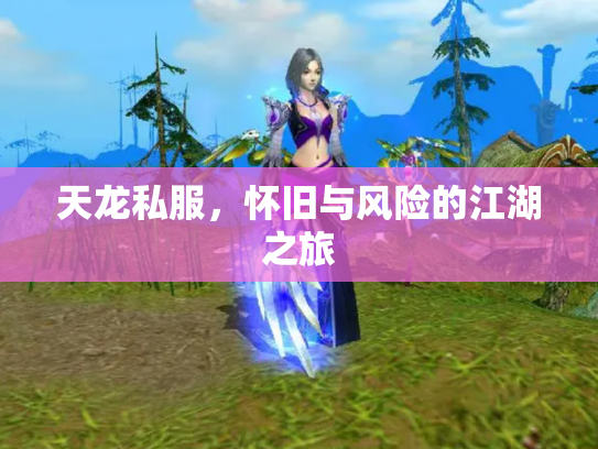 天龙私服，怀旧与风险的江湖之旅