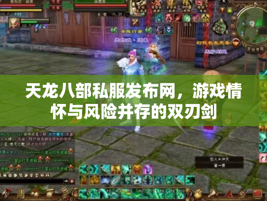 天龙八部私服发布网，游戏情怀与风险并存的双刃剑
