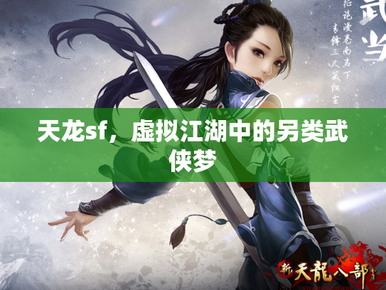 天龙sf，虚拟江湖中的另类武侠梦