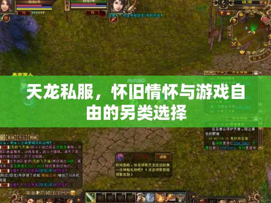 天龙私服，怀旧情怀与游戏自由的另类选择
