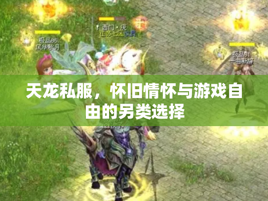 天龙私服，怀旧情怀与游戏自由的另类选择