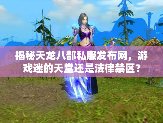揭秘天龙八部私服发布网，游戏迷的天堂还是法律禁区？