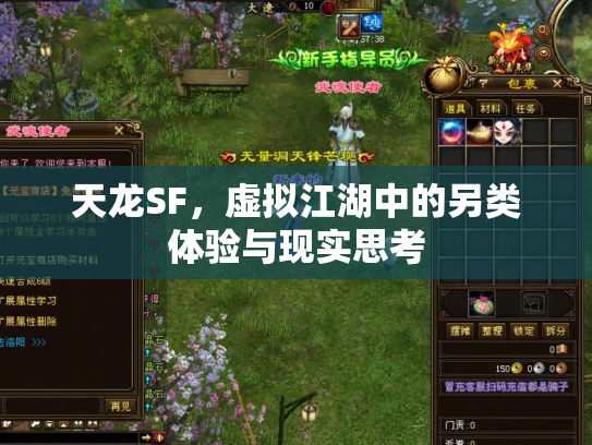 天龙SF，虚拟江湖中的另类体验与现实思考