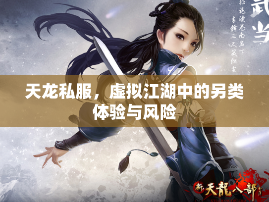 天龙私服，虚拟江湖中的另类体验与风险
