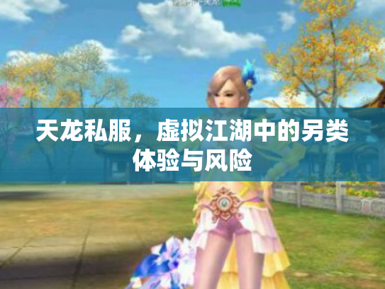 天龙私服，虚拟江湖中的另类体验与风险