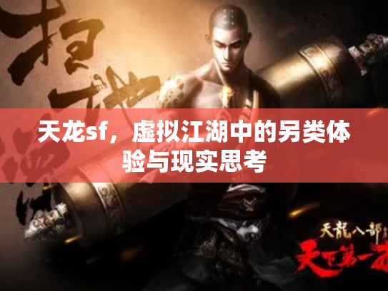 天龙sf，虚拟江湖中的另类体验与现实思考