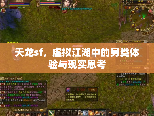天龙sf，虚拟江湖中的另类体验与现实思考