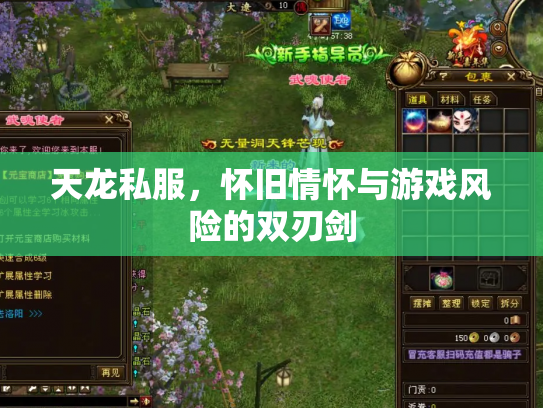 天龙私服，怀旧情怀与游戏风险的双刃剑