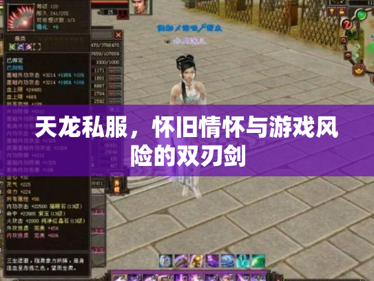 天龙私服，怀旧情怀与游戏风险的双刃剑
