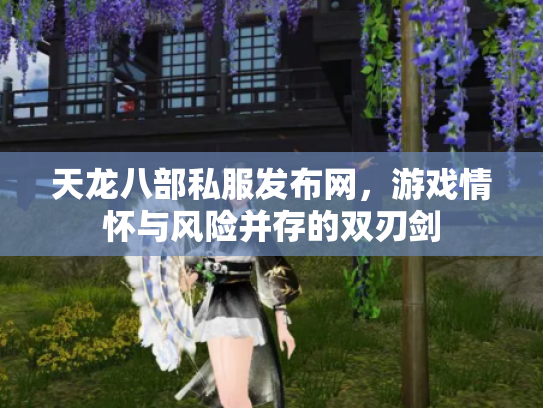 天龙八部私服发布网，游戏情怀与风险并存的双刃剑