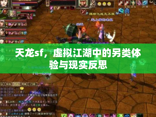 天龙sf，虚拟江湖中的另类体验与现实反思