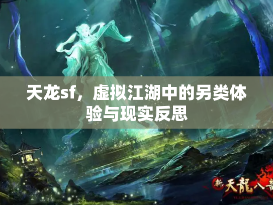 天龙sf，虚拟江湖中的另类体验与现实反思
