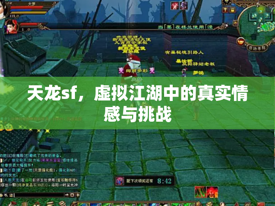 天龙sf，虚拟江湖中的真实情感与挑战