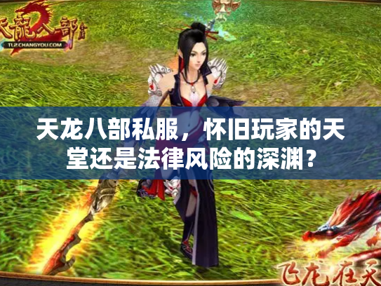 天龙八部私服，怀旧玩家的天堂还是法律风险的深渊？