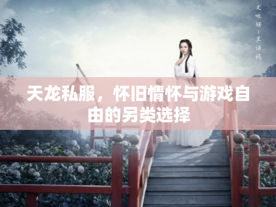 天龙私服，怀旧情怀与游戏自由的另类选择