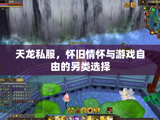 天龙私服，怀旧情怀与游戏自由的另类选择