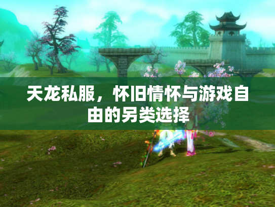 天龙私服，怀旧情怀与游戏自由的另类选择