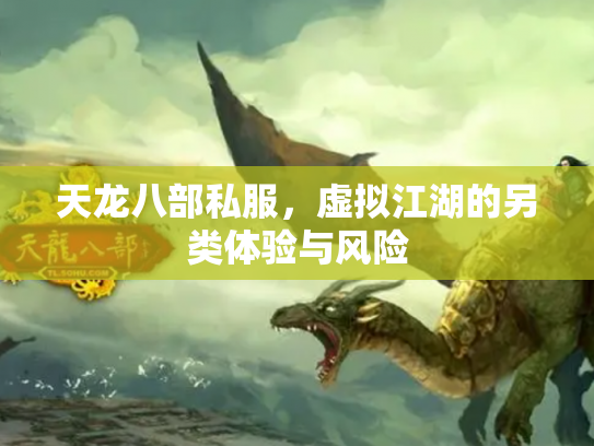 天龙八部私服，虚拟江湖的另类体验与风险