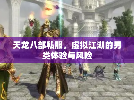 天龙八部私服，虚拟江湖的另类体验与风险