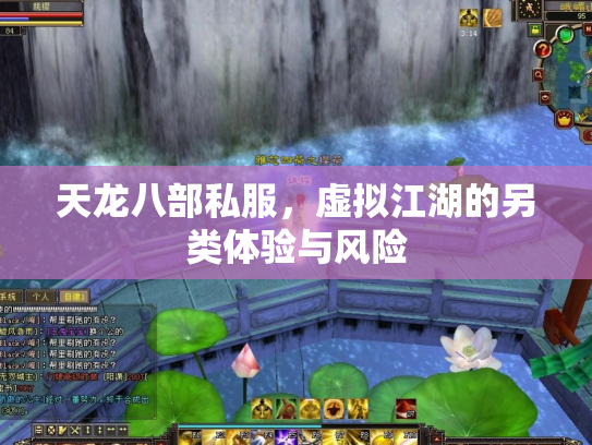 天龙八部私服，虚拟江湖的另类体验与风险