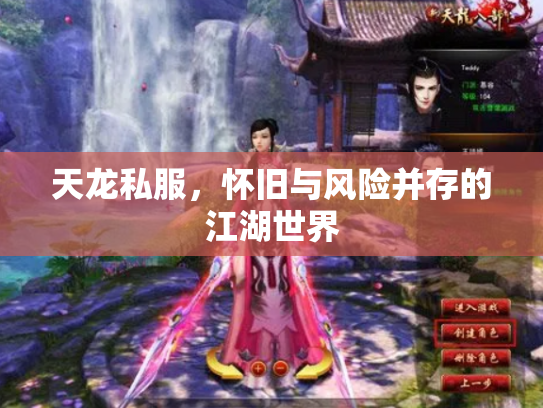天龙私服，怀旧与风险并存的江湖世界