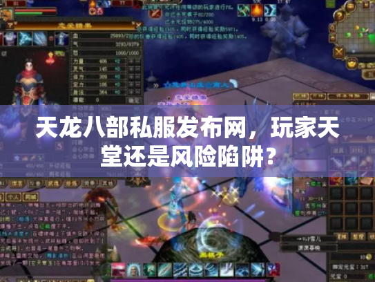 天龙八部私服发布网，玩家天堂还是风险陷阱？