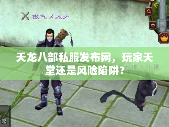 天龙八部私服发布网，玩家天堂还是风险陷阱？