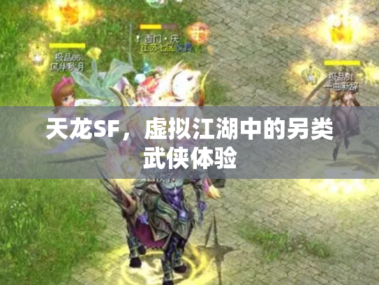 天龙SF，虚拟江湖中的另类武侠体验